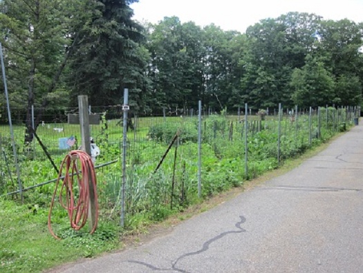 Homeowners' Gardens